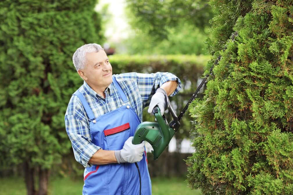 Tree Trimming