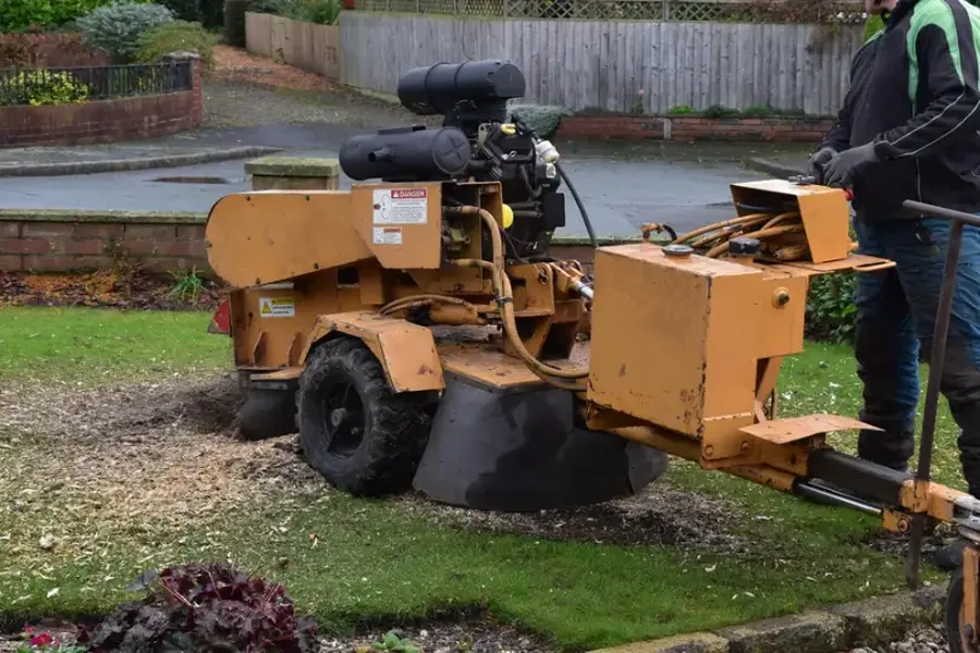 Can Stump Grinding Help With Yard Drainage Issues Burlington, WA Can Stump Grinding Help With Yard Drainage Issues Burlington, WA