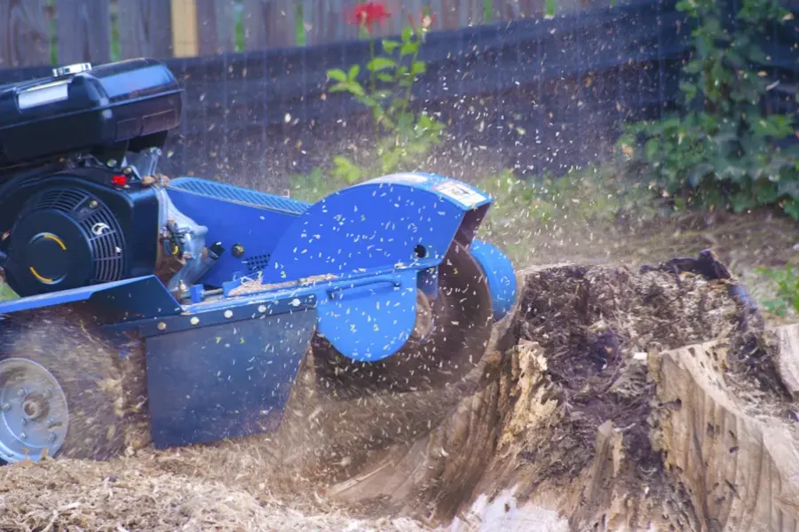 Expert Stump Grinding Burlington, WA Expert Stump Grinding Burlington, WA