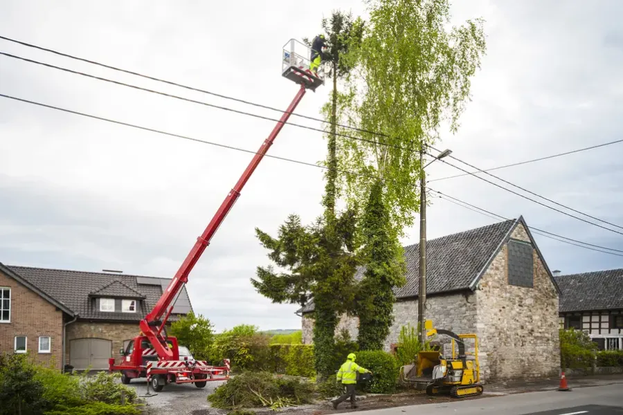 How Tree Trimming Prevents Storm Damage To Your Home in Burlington, WA How Tree Trimming Prevents Storm Damage To Your Home in Burlington, WA