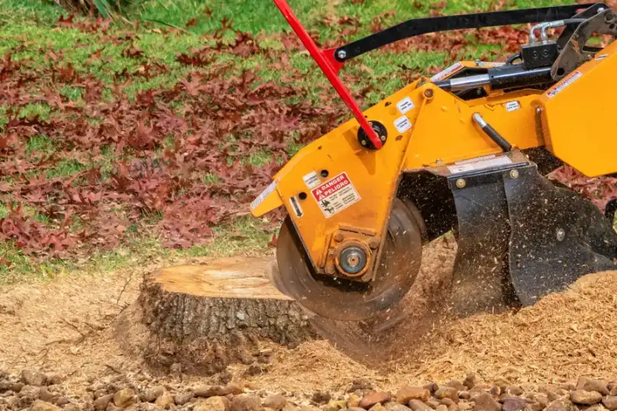 Local Stump Grinding Burlington, WA Local Stump Grinding Burlington, WA