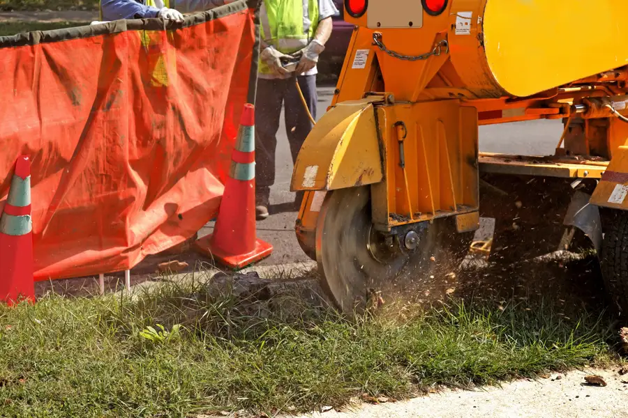 Reputable Stump Grinding Burlington, WA Reputable Stump Grinding Burlington, WA