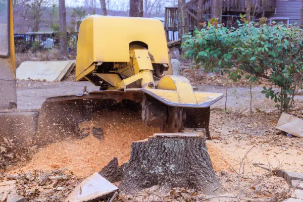 Stump Grinding